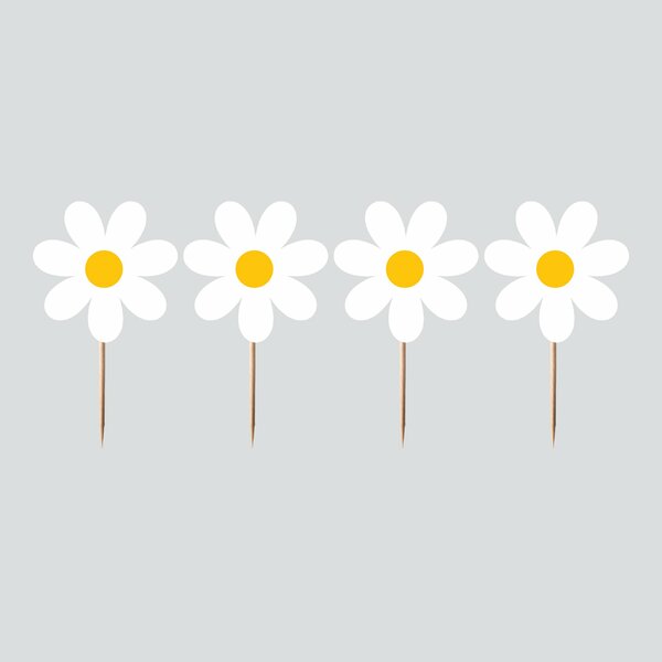 8'Lİ KÜRDAN PAPATYA TEMA