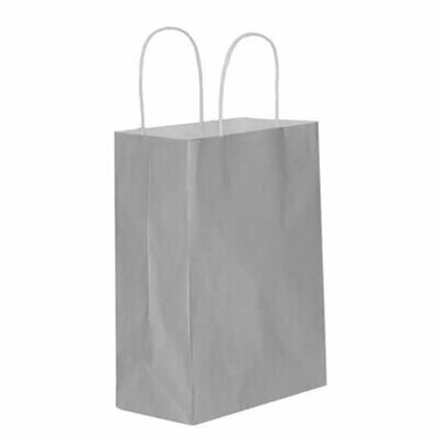 25*12*31 BÜKÜM SAPLI ÇANTA SİLVER 25'Lİ 25*12*31 BÜKÜM SAPLI ÇANTA SİLVER 25'Lİ