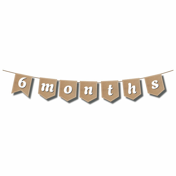 ZİKZAK BANNER 6 MONTHS ZİKZAK BANNER 6 MONTHS