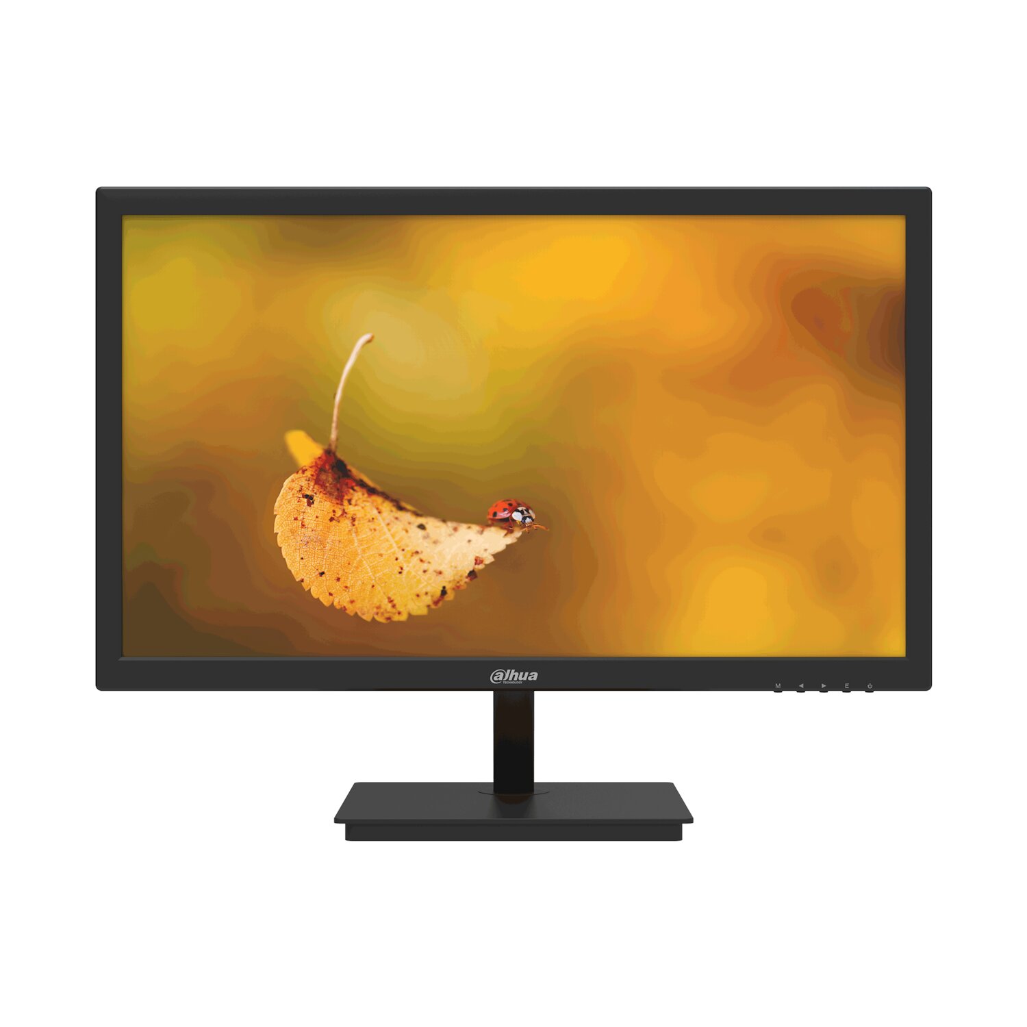 LM24-L200 23.8 Full HD LCD Monitör