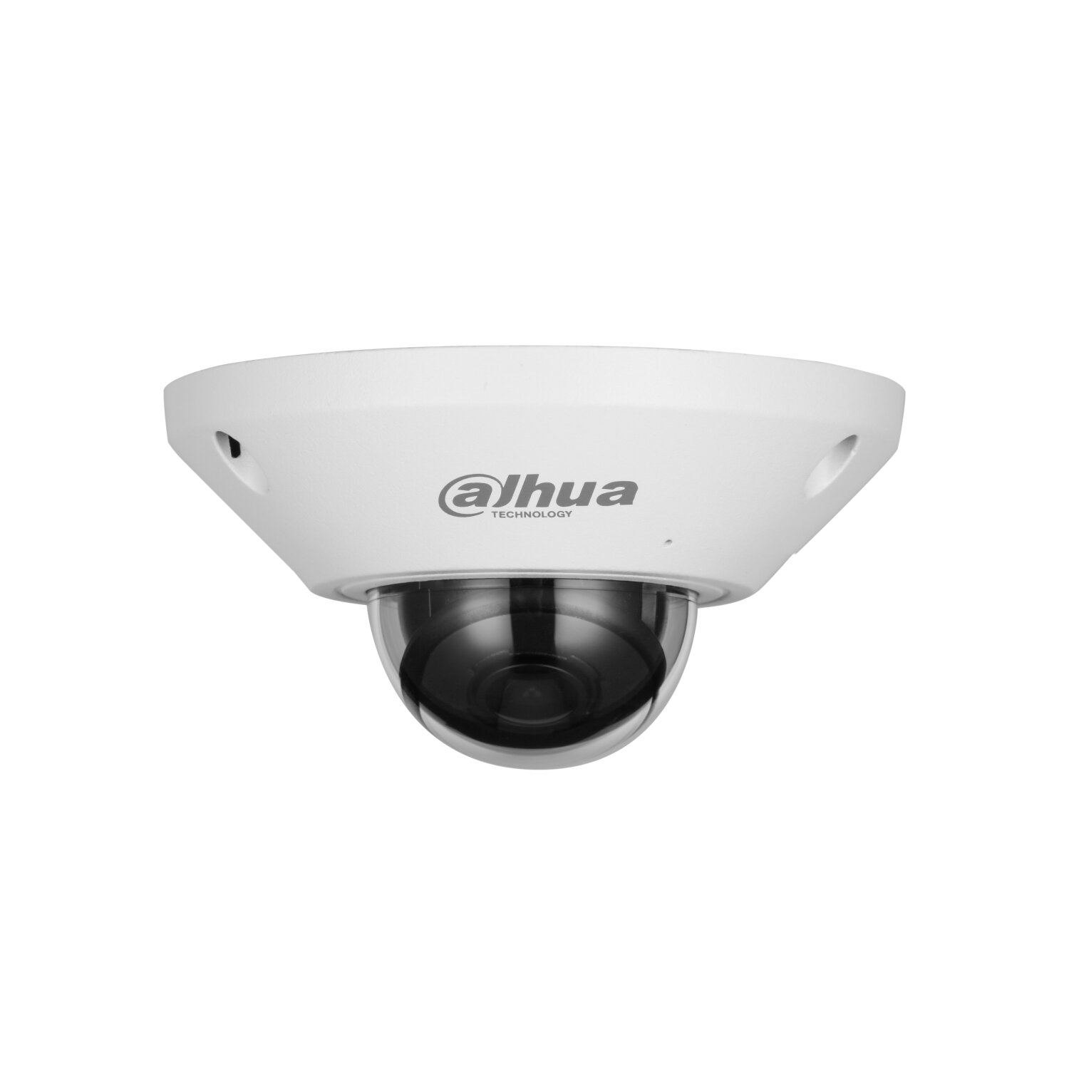 DH-IPC-EB5541P-AS 5MP WizMind Fisheye Network CAMERA