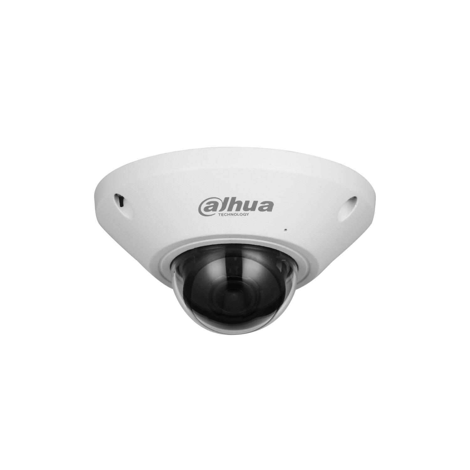 DH-IPC-EB5541P-AS 5MP WizMind Fisheye Network CAMERA