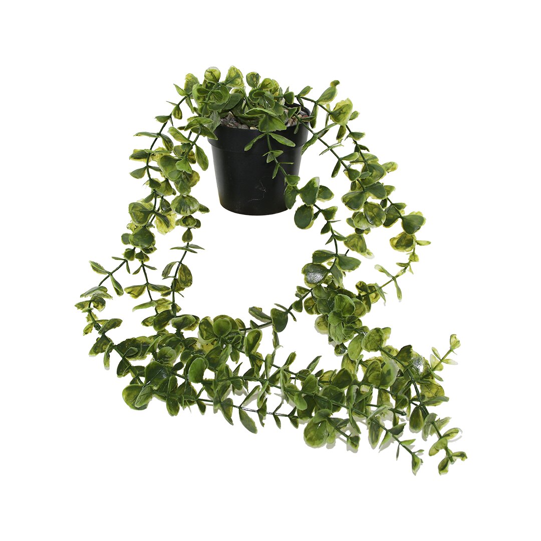 EVİDECOR ( SARKAN UZUN SARMAŞIK ) YAPAY ÇİÇEK*30=K