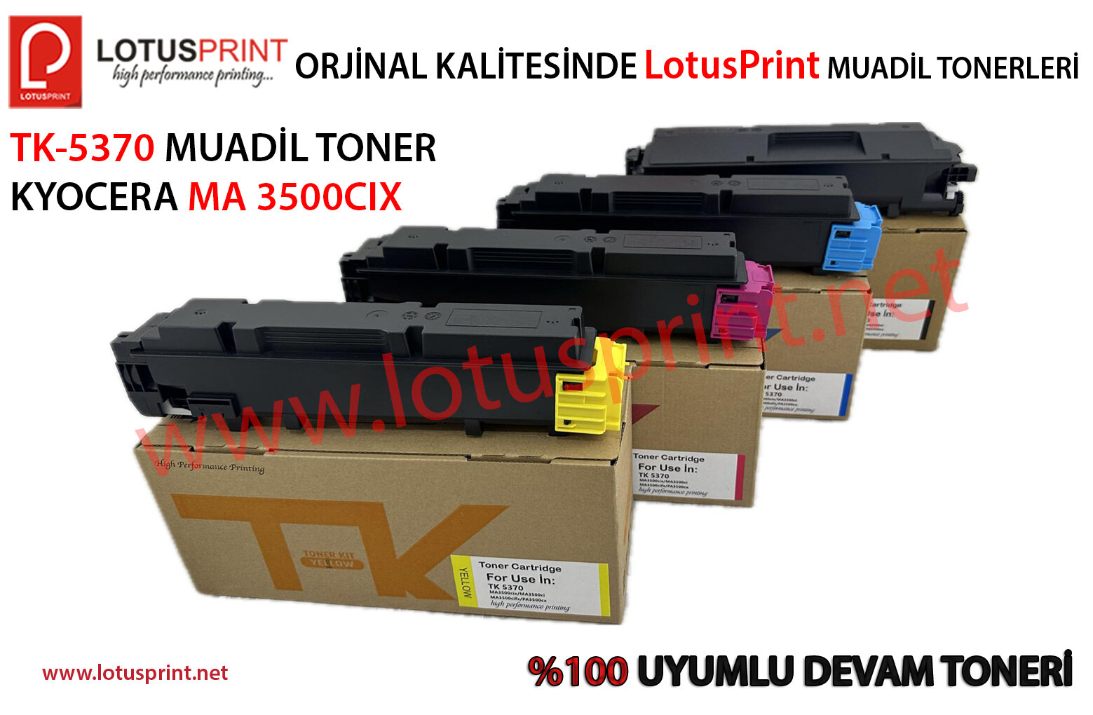 Lotus Kopyalama Sistemleri